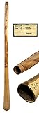 didgeridoo eukalyptus holz Material: Eukalyptus | Tonhöhe E | Länge: ca. 150-160cm