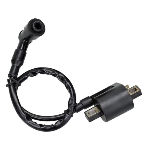 Bobine d'allumage haute performance 12V noir pour ATV et scooter 50cc-250cc