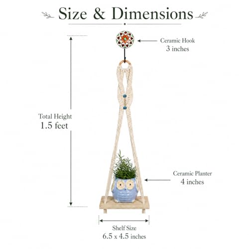 Image of Kaameri Bazaar Macrame Boho Braid Mini Shelve with Owl Shaped Planter (Blue) and Ceramic Hook - Macrame wall Hanging l owl Planter Pot