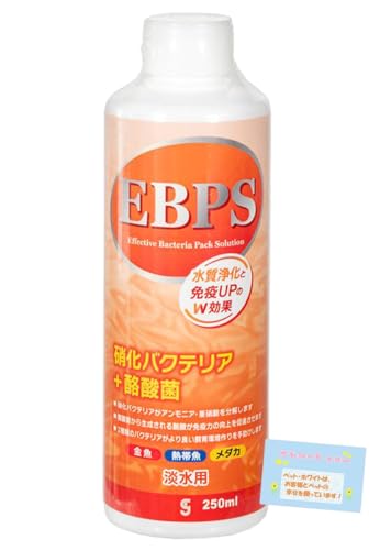 日本製 【魚用 水質浄化と魚の免疫力を同時サポート】 EBPS 酪酸菌プラス 硝化菌&酪酸菌配合 水質調整バクテリア液 熱帯魚・メダカ・金魚 250ml
