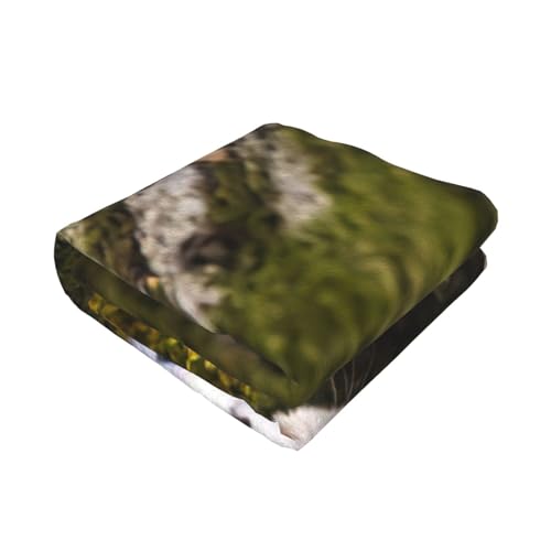 Couverture de lit belette microfibre EdWal anti frois léger - 3