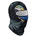 Fashion Lightweight Lovely Blue Parrot Rain Ski Mask, Balaclava Face Cover,Full Head Masks for Snowboard Motorcycle Sports Riding