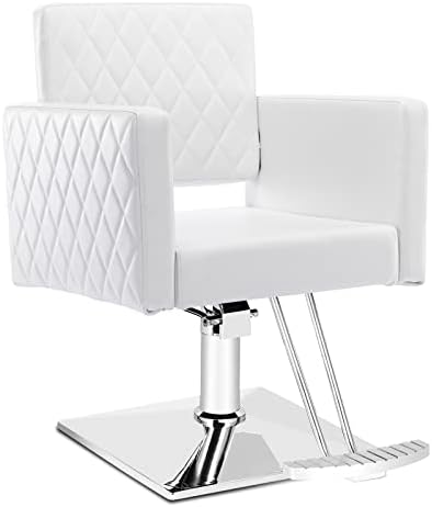 Paddie Hair Salon Chair, Height Adjustable Hydraulic Chair Beauty 360 Degrees Rolling Swivel Hair Salon Equipment for Hair Stylist Women Man (White2)