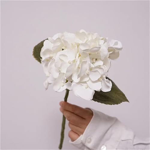 5/bg lHAWTC tFCNt[ EFfBOfR[V t[AWg z[p[eB[ ԕ ʐ^Bep(White)