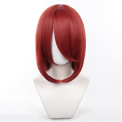 Eileen RXv ~fBA bh EBbO ӂӂ   40cm p^ Cosplay EBbO jp ϔM Cxg Wig lbgt