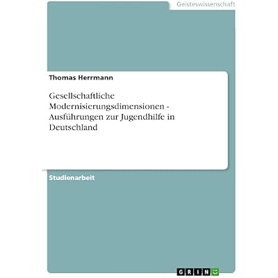 Gesellschaftliche Modernisierungsdimensionen - Ausf&uuml;hrungen zur Jugendhilfe in Deutschland
