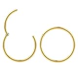 365 Sleepers (18G 8mm) 2PCS 316L Surgical Steel Hypoallergenic Septum Jewelry Hinged Segment Ring Body Piercing Hoop Lip Rings Helix Cartilage Rook Sleeper Earrings