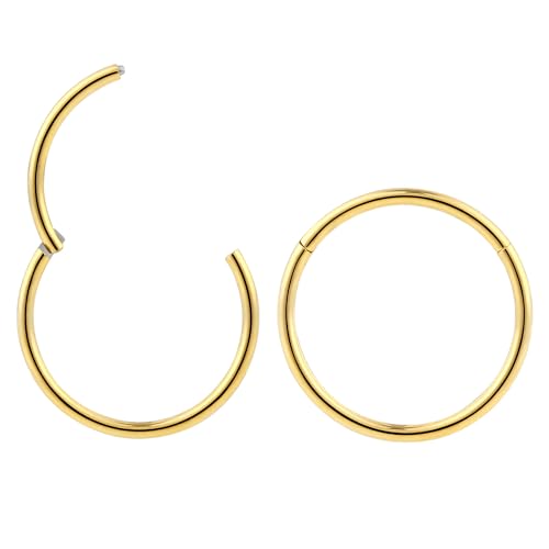 365 Sleepers (18G 8mm) 2PCS 316L Surgical Steel Hypoallergenic Septum Jewelry Hinged Segment Ring Body Piercing Hoop Lip Rings Helix Cartilage Rook Sleeper Earrings
