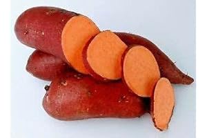 Hannah Sweet Potatoes 10lb Pack