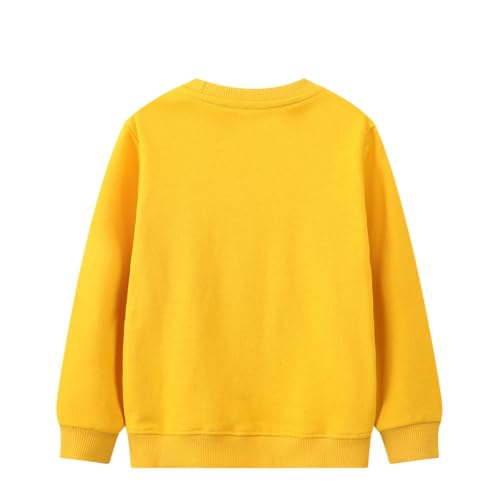 Kids Sweatshirts Toddler Boy Cartoon Graphic Cute Pullovers Long Sleeve Crewneck Cozy Fall Clothes Casual Soft Tops3