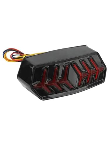 Luz trasera de freno con intermitente fluido para MSX125 y CTX700N