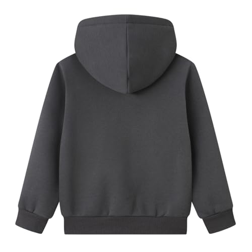 Sweat à capuche en coton zippé pour garçon de 2 à 7 ans - 3