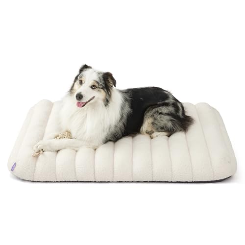 LE SURE Cute Orthopedic Dog Bed Large Sized Dog, Waterproof Chic Flat Pet Beds with Removable...