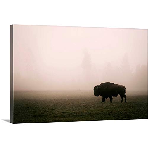 A Bison In Mist Canvas Wall Art Print, Wildlife Artwork #TOP25