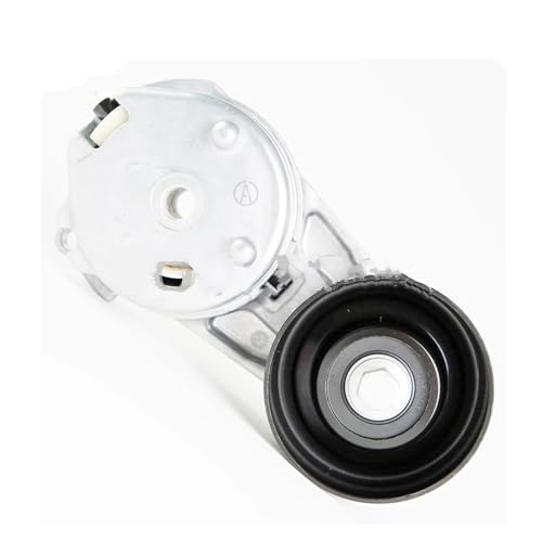 Poulie de tension PQG500030 pour supprimer le sifflement de courroie Range Rover Sport
