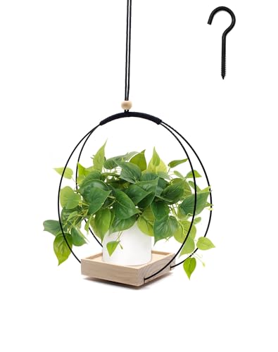 Blumenampel Hängend Innen Hängetopf für Pflanzen Hängeampel Hängeblumentöpfe Pflanzenampel Ideal für Pflanzenliebhaber und Wohnaccessoires Enthusiasten die Stilvolle Raumgestaltung Suchen(Schwarz)