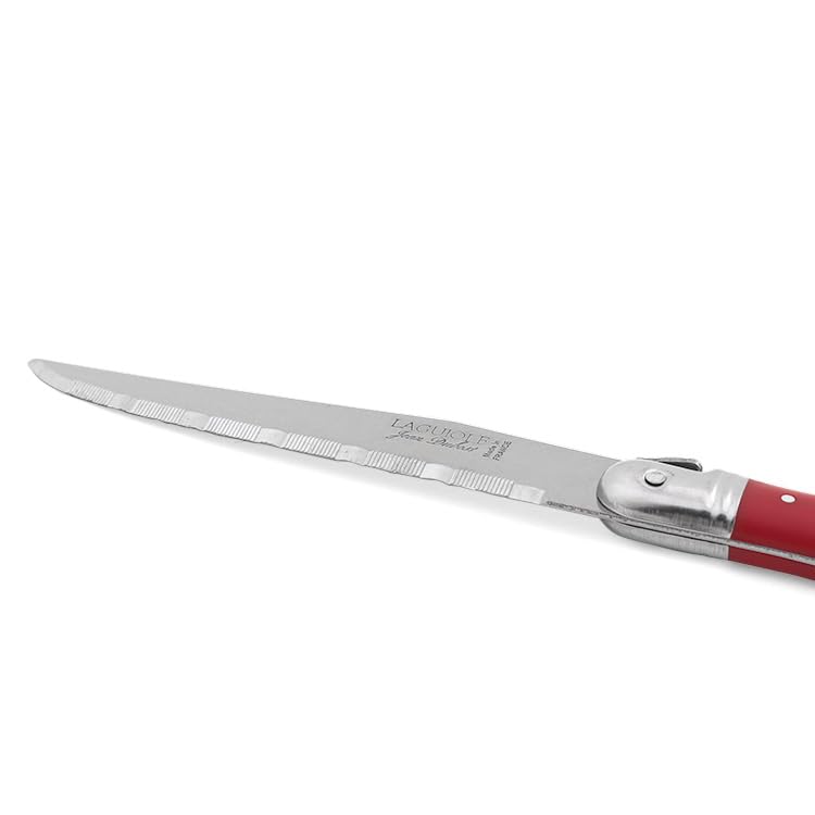 Amazon.co.jp: ジャンデュボ(Jean Dubost) ライヨール ステーキ