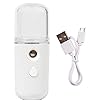 Gezichtsinstrument Facial Mist Sproeier Handheld Gezicht Steamer USB Opladen voor huidverzorging Hydraterende…