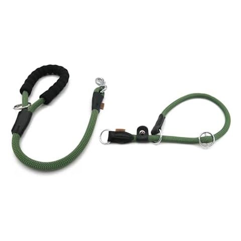 Aiminto Braided Rope Leash ((1/2") - 2FT, Dark Green) and Adjustable Collar (XL(1/2") - 24" Long, Dark Green) Set Cover