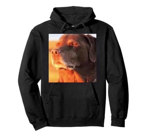 Perro en el Meme de Puesta de Sol Sudadera con Capucha