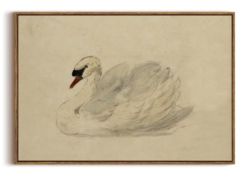 Image of KISSFOX Framed Wall Art Vintage Wall Decor Swan Pictures Retro Animal Canvas Art Rustic Aesthetic Paintings Farmhouse Artwork For Bedroom Living Room Kitchen