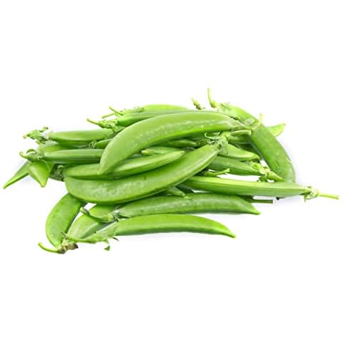 Vegetable Plants - Runner Bean 'Firestorm' - 18 x Large Plant Pack - Garden Ready + Ready to Plant - Available for Pre-Order Now! Cover