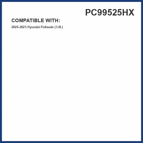Condition photo showing Good Condition for pureflow hepa cabin air filter pc99525hx | fits 2020-22 hyundai palisade