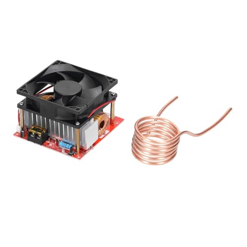 Paaruter Módulo de Placa de Calentamiento por Inducción ZVS de 1000 W, Bobina de Calentador de Bajo Voltaje de 24-36 V, Controlador Flyback, Calentador con Tubo de Cobre para Bricolaje