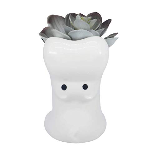 Gemseek Cute Hippo Succulent Planter Pot With Bamboo Drainage Tray, White Ceramic Cactus/Flower Container, Animal Bonsai Holder For Indoor Plants #TOP6