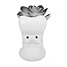 Gemseek Cute Hippo Succulent Planter Pot with Drainage Tray, Small White Ceramic Cactus Flower Container, Animal Shaped Indoor Air Plants Holder