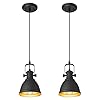 Audickic Modern Pendant Light, Set of 2 Hanging Light Fixtures, Black Pendant Lighting for Kitchen Island, AD-2151-1P2