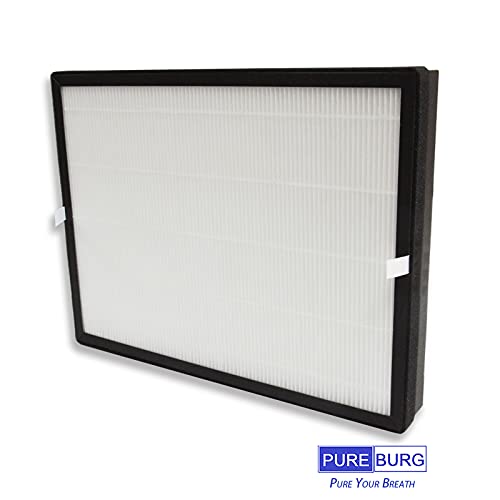 PUREBURG Replacement Filter Compatible with TaoTronics TT-AP007 Air Purifier,2-Pack H13 HEPA Activated Carbon 2-in-1 4-Stage Filtration Air Clean Dust VOCs