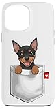 Simpatico cucciolo Pinscher in tasca, per gli amanti dei cani, mamma del cane, mamma Min Pin, papà cane, papà Min Pin, padrone di cani, fan di cuccioli, proprietari di animali domestici che amano divertenti illustrazioni di cuccioli, giocare a frisbee e vestiti divertenti per cani. Pinscher è il mio animale spirituale.
