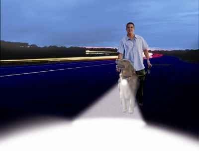 dog collar with light attached