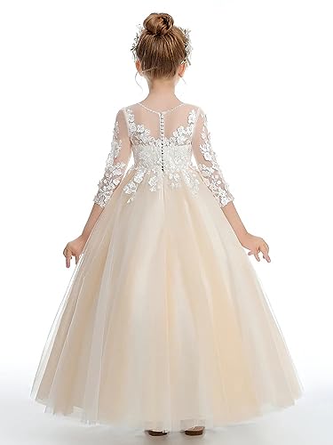Flower Girls Dresses for Wedding Lace Appliques Birthday Party Gowns First Communnion Dress for Girls PT0673