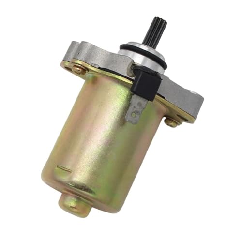 oCNn[^[ I[goCGWdX^[^[[^[ANZT[ C^WFbgp tH[~50 LCp EBAYp 1994-2014