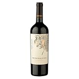 Vinho tinto chileno metropolitano d.o. valle central cabernet
