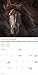 2025 Horses Wall Calendar (Bilingual French)