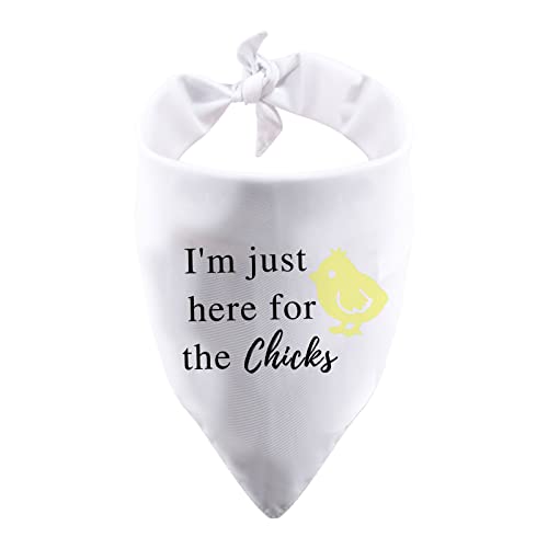 PWHAOO 1 Piece I'm Just Here for The Chicks Easter Celebration Dog Bandana Easter Egg Gift (for The Chicks White)