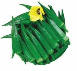 VVW - Hybrid Green Bhindi/Okra/Ladyfinger Seeds 200 Seeds Q14 (B0BLM558JK) Amazon Price History, Amazon Price Tracker