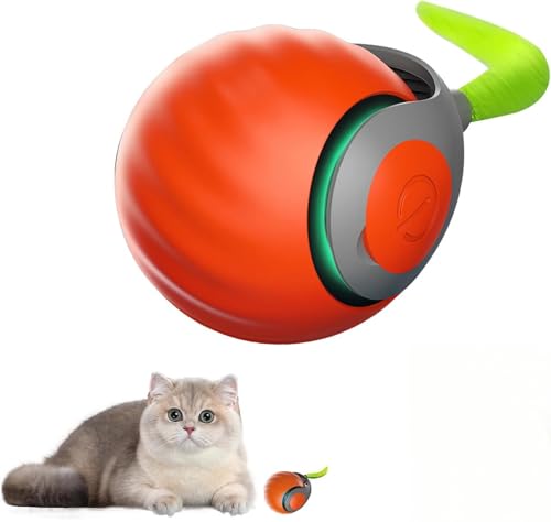  L{[ L  d Lbg{[ L炵 ] ԑ΍ USB[d {[ ybg{[ lR  gX ^sy (IW)