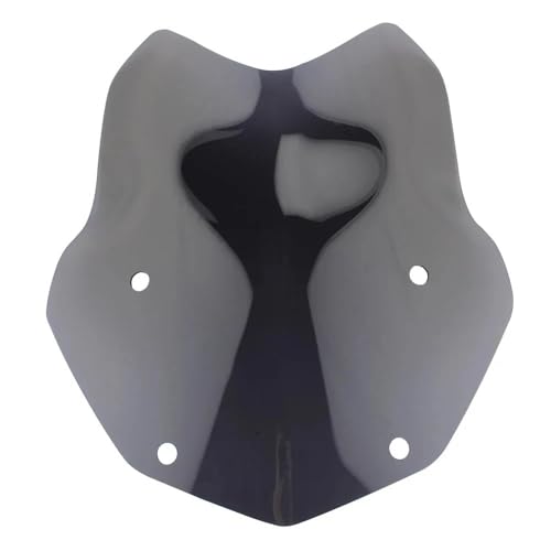 Carénage moto et pare-brise de moto pour voyager en R1250GS ADV