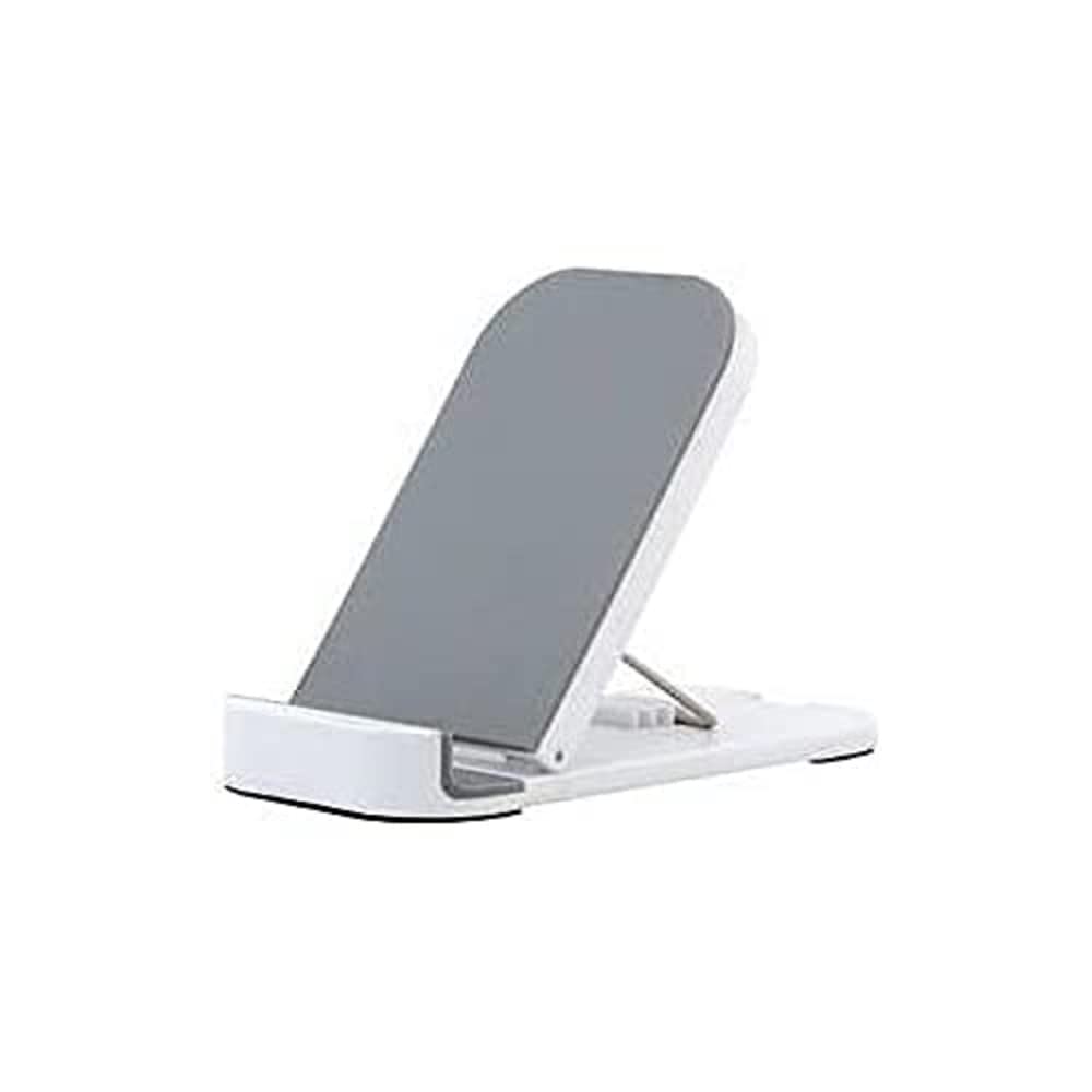 Everest IP-113 Gümüş Ipad 1 & 2 Tablet Pc Stand