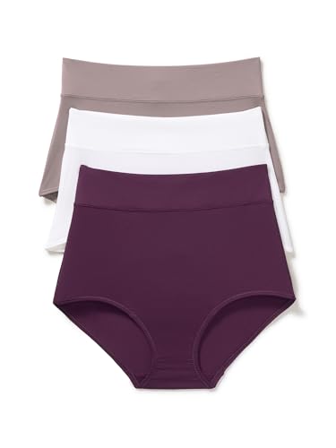 Warners® Blissful Benefits Women's Dig-Free Microfiber Brief 3-Pack, Amaranth/White/Mauve, Large