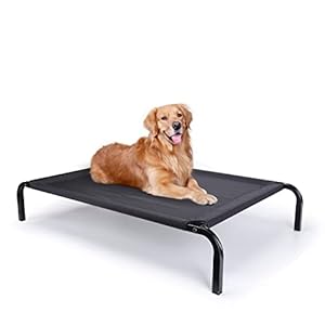 Nobleza Cama Elevada para Perros y Gatos, Transpirable Mascotas Catre Elevado Dormir Relax Interior Exterior, Portatil Camping Perro Cama, Impermeable Textilene y Marco Acero, 122 * 72 * 21cm