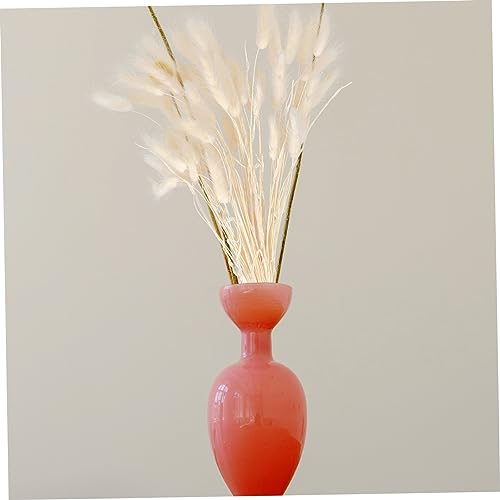 Luxshiny 100 Peças feno de rabo de coelho decoração de casa decoração de prop DIY de grama seca buqu