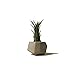 lieomo 3Pcs Handmade Mini Modern Geometric Style Conerete Planter