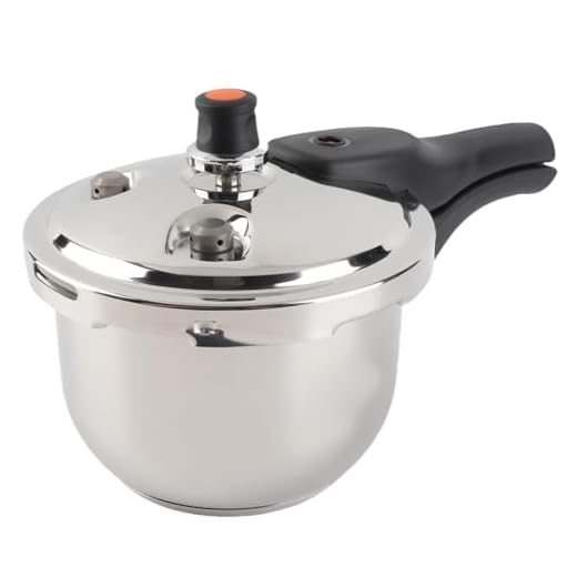 Efficient Mini Stainless Steel Pressure Cooker
