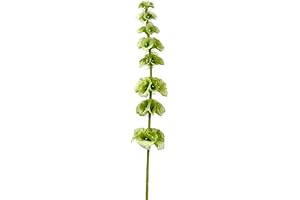 Green Bells of Ireland Spray for Lifelike Floral Arrangements (Pack of 12)