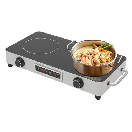 2200W Double Burner Electric Cooktop, 2-Burner Induction Stove with 99-Min Timer &amp; Child Lock, 9 Power Settings, Portable Electric Stove for Kitchen, RV, Apartment Cooking (Silver)